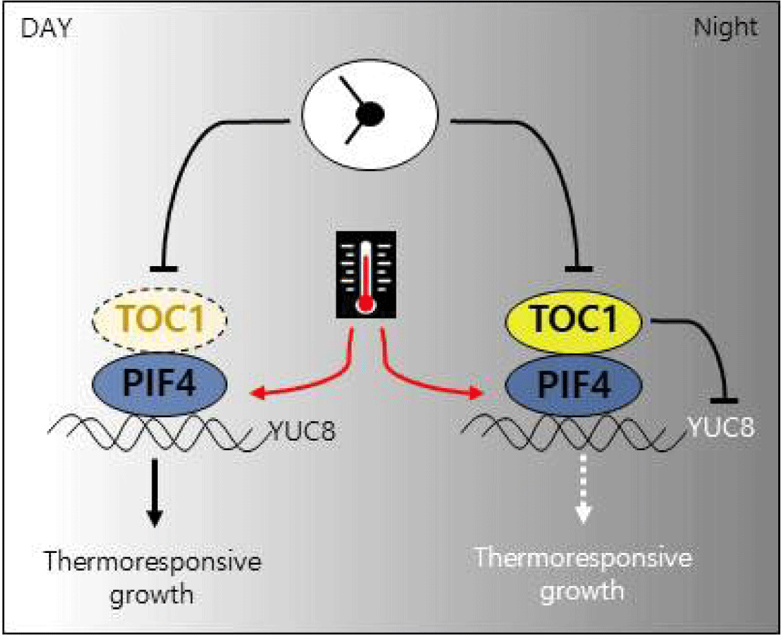 tals-61-0-1-g2